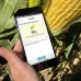 Портативный анализатор влажности кукурузы. SCiO Corn 4